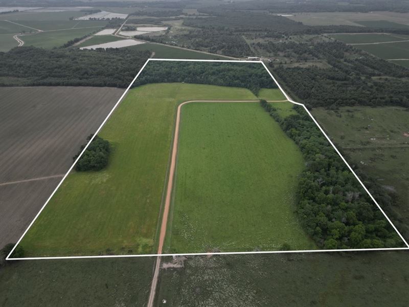 80 Acres in Winnsboro, Louisiana : Winnsboro : Franklin Parish : Louisiana