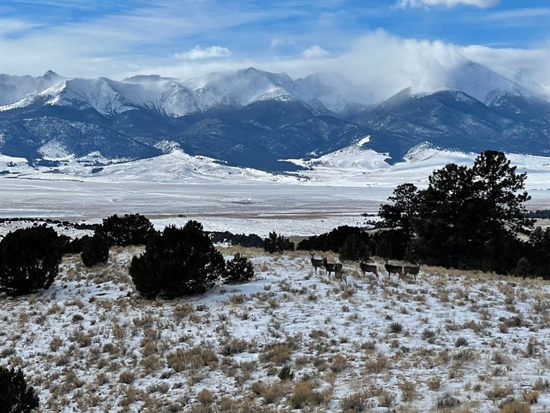 Harold G. Vickerman Ranch : Westcliffe : Custer County : Colorado