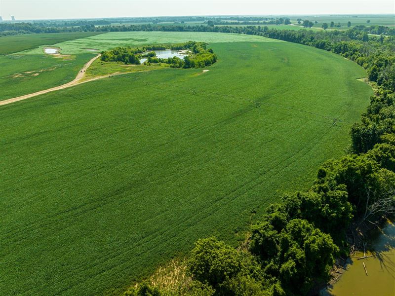 402 Row Crop Acres, Rosie, AR 7 : Rosie : Independence County : Arkansas