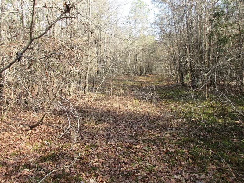 Rural Retreat with Prime Acreage : Malvern : Hot Spring County : Arkansas