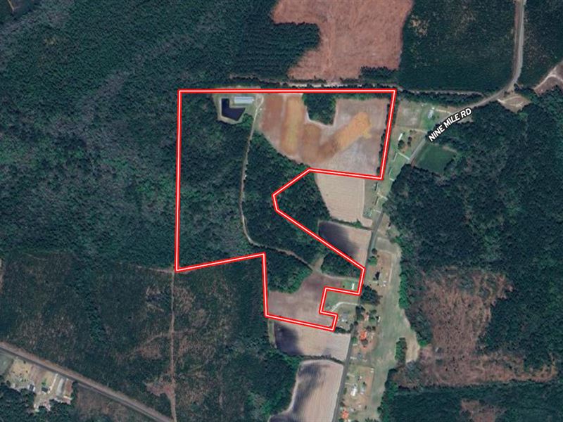 65.25 Acres of Farm and Recreationa : Maple Hill : Onslow County : North Carolina