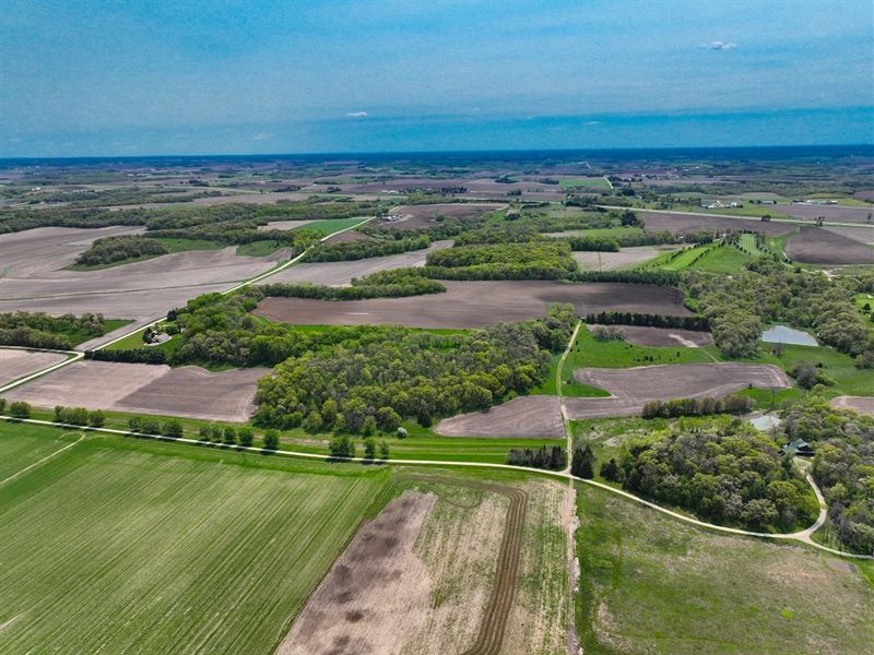 85 Acres Winona County : Saint Charles : Winona County : Minnesota