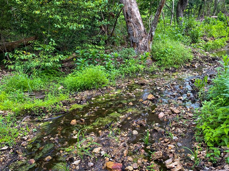 Amazing View and a Seasonal Stream : Willow Springs : Howell County : Missouri