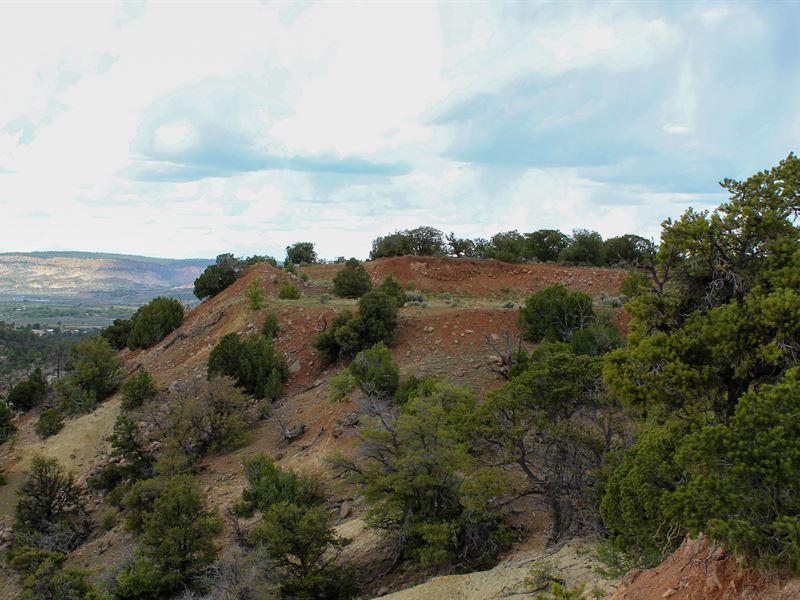 Rockhounds, Hikers, Artists, Hunter : Cuba : Sandoval County : New Mexico