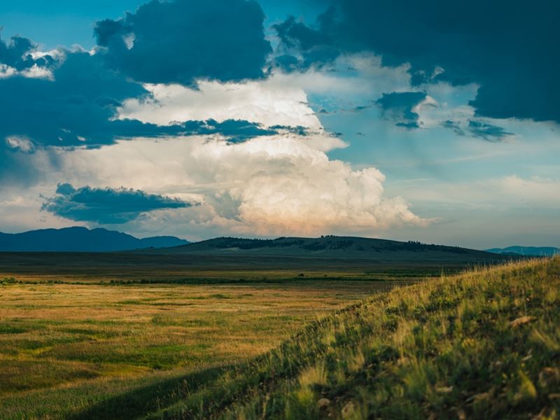 Elk Mountain Cattle Ranch : Hartsel : Park County : Colorado