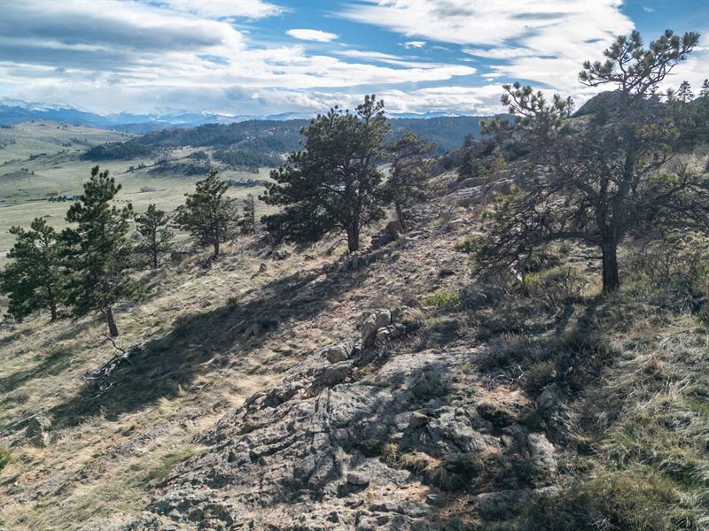 Gateway to Red Feather Lakes : Livermore : Larimer County : Colorado