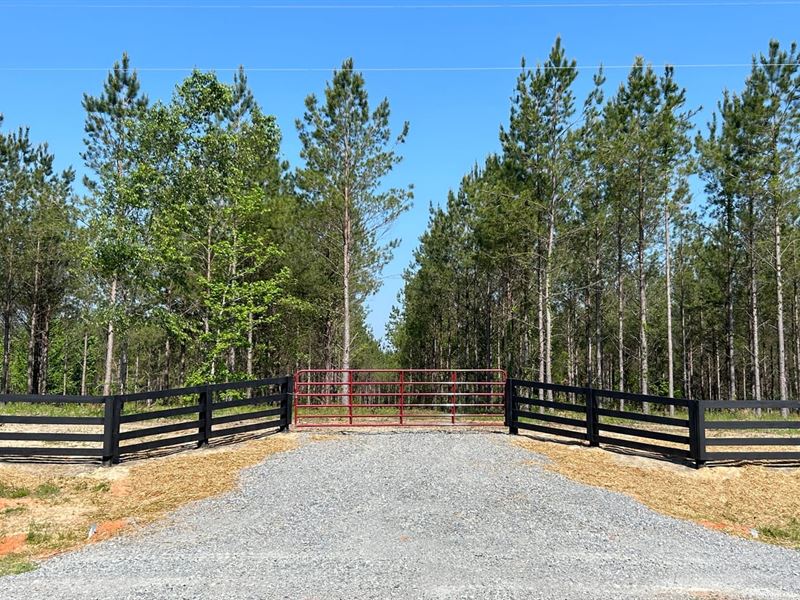 Bluewater Country Lot 7 : Dexter : Laurens County : Georgia