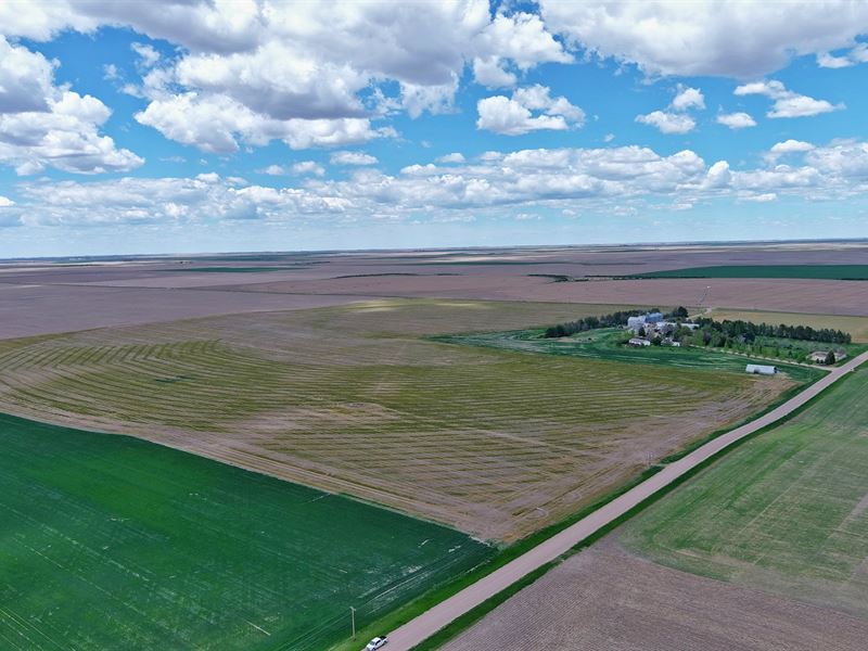 Watkins Irrigated Quarter : Venango : Perkins County : Nebraska