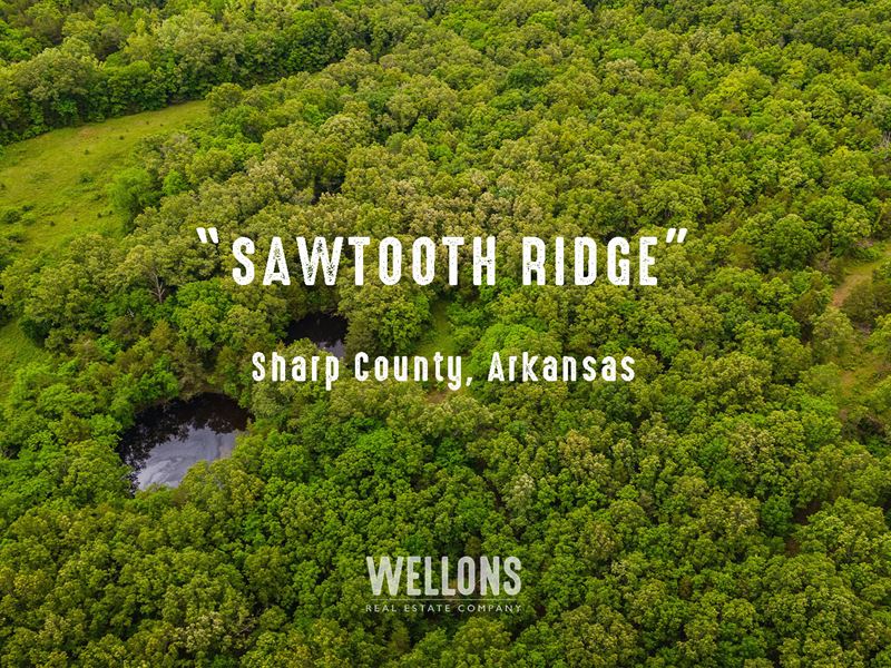 Sawtooth Ridge : Poughkeepsie : Sharp County : Arkansas