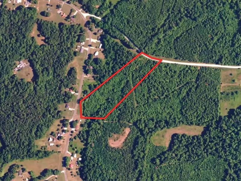 6.75 Acre Wooded : Providence : Caswell County : North Carolina