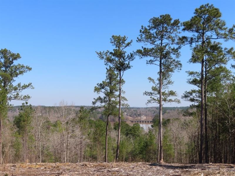 Hilltop View of Lake Wateree : Winnsboro : Fairfield County : South Carolina