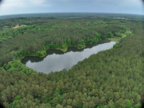 213 Acre Timber Tract with Lake : Blue Mountain : Union County : Mississippi