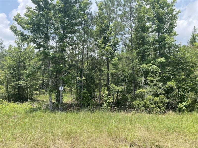 Plainview Pines Tract 4 : Elizabeth : Rapides Parish : Louisiana