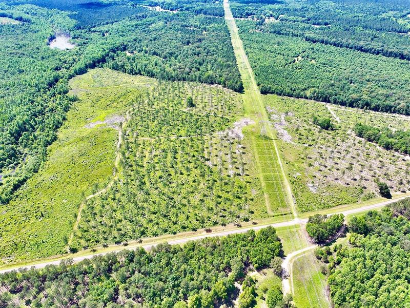 Inman Branch Creek Farm : Sandersville : Washington County : Georgia