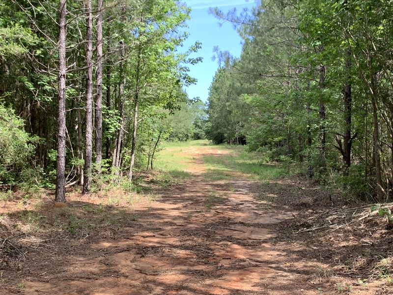 Dwain Road : Magnolia : Amite County : Mississippi