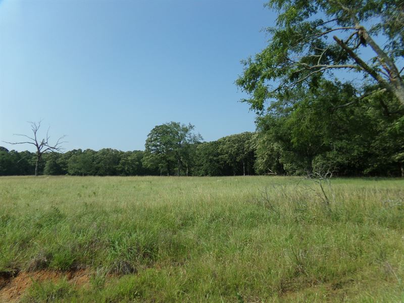 Partially Wooded Acreage, Bagwell : Bagwell : Red River County : Texas