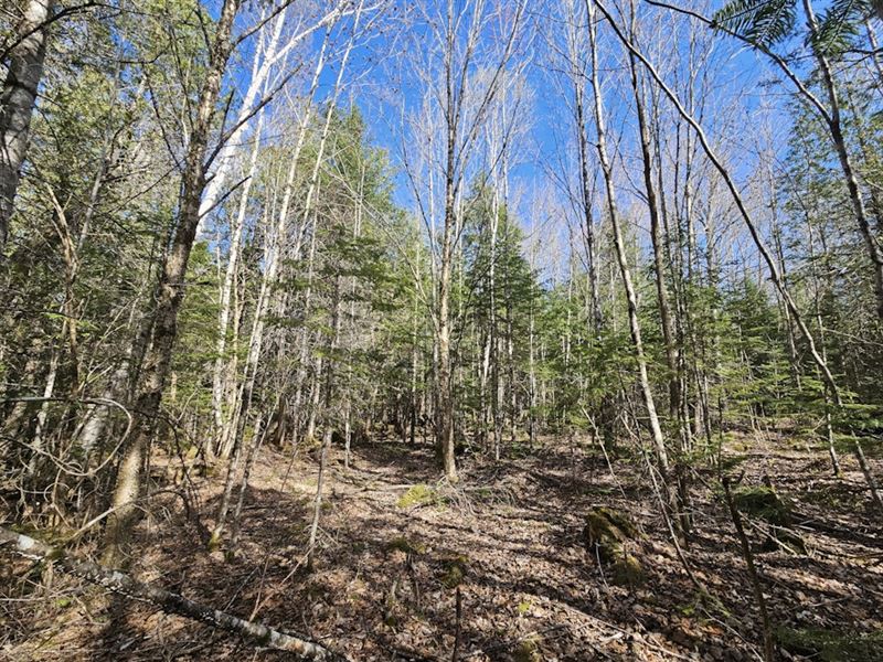 Lagrange -Birch Stream- Enterprise, Farm for Sale in Maine, #375787 ...