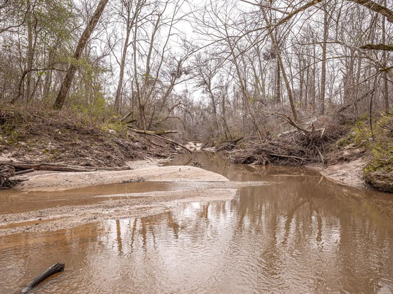 Hunting, Timber, and Sandy Creek : Byram : Hinds County : Mississippi