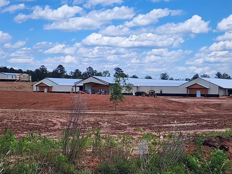 New 9 House Breeder Poultry Farm : Clopton : Henry County : Alabama