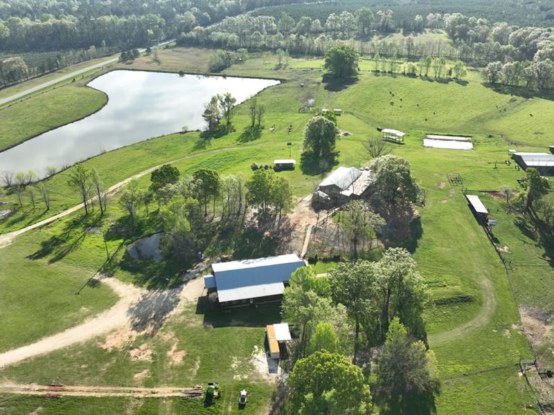 Dream Field Farms Events & Wedding : Fitzpatrick : Bullock County : Alabama