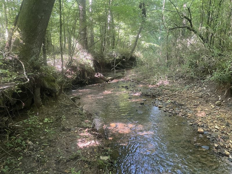 57 Ac on Dipping Vat Creek : Wadley : Tallapoosa County : Alabama