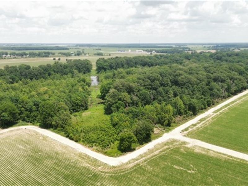 40 Acres in Bolivar County in Cleve : Cleveland : Bolivar County : Mississippi