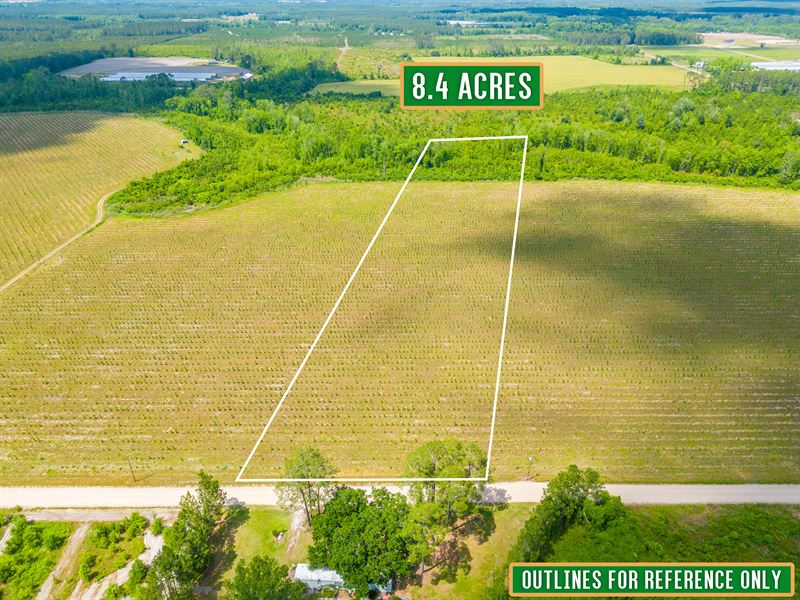 Tract 10, 8.5 Acres on Sellers Rd : Baxley : Appling County : Georgia