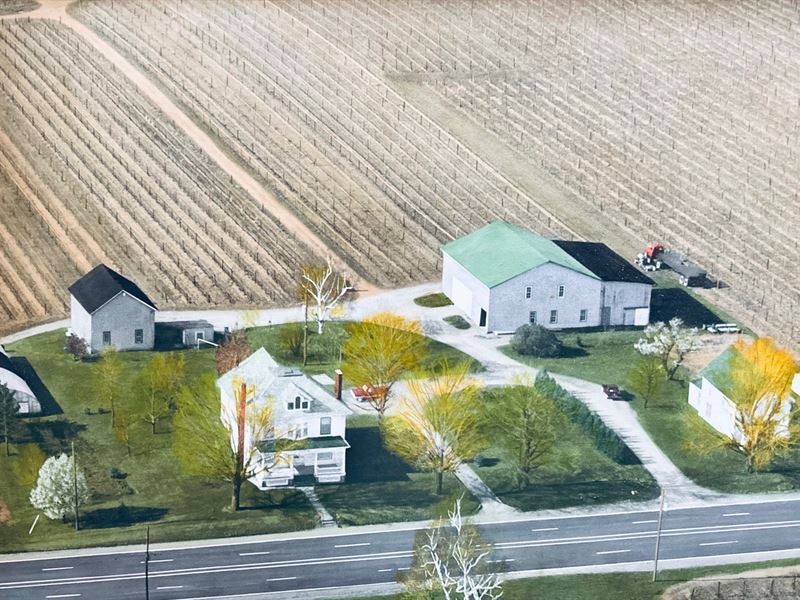 Turn-Key PA Great Lakes Grape Farm : North East : Erie County : Pennsylvania