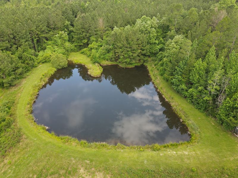 Sizemore Creek Tract : Atmore : Escambia County : Alabama