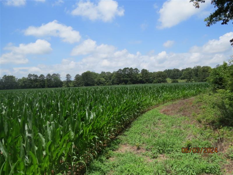 Productive Farm Land : Lincoln : Talladega County : Alabama