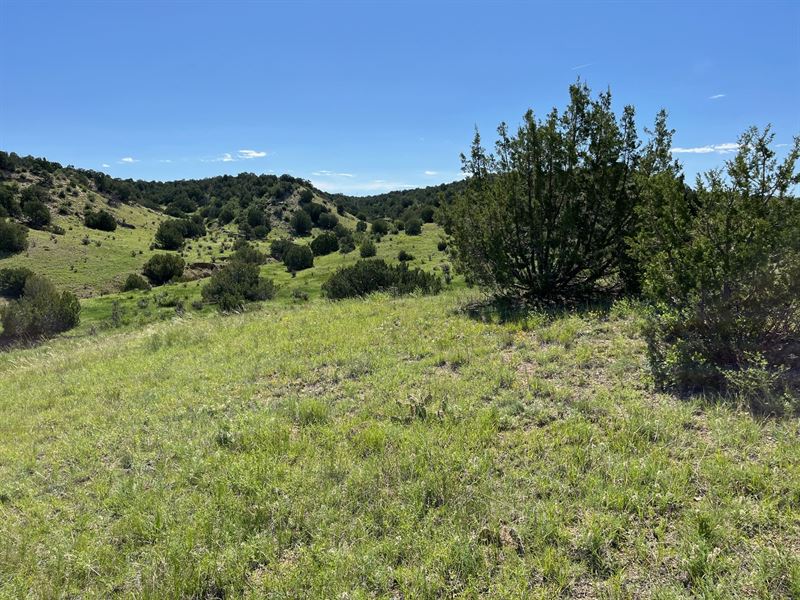 Hatchet Ranch 56 : Pueblo : Pueblo County : Colorado