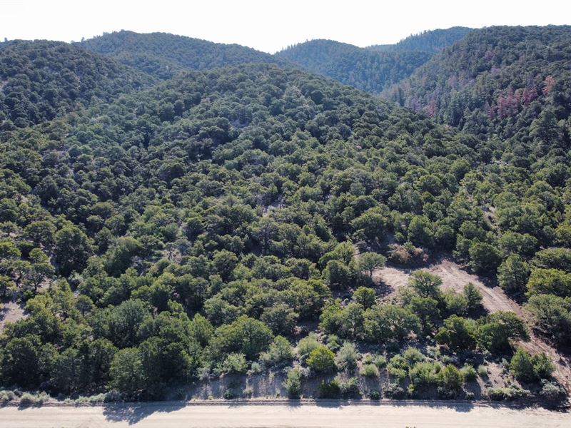 2200 Acre Backyard Camp Ready : Fort Garland : Costilla County : Colorado