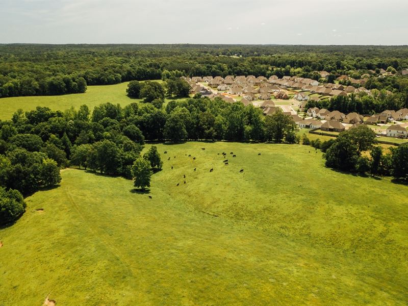 86 Acres with A Home in Lafayette : Oxford : Lafayette County : Mississippi