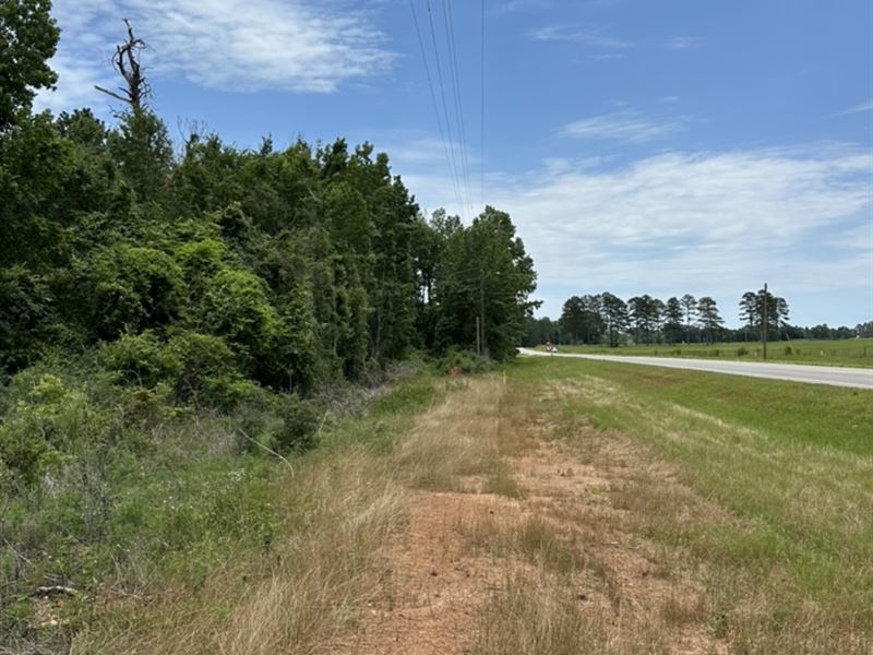 38 Ac Hwy 84 ID 110-1 : Evergreen : Conecuh County : Alabama