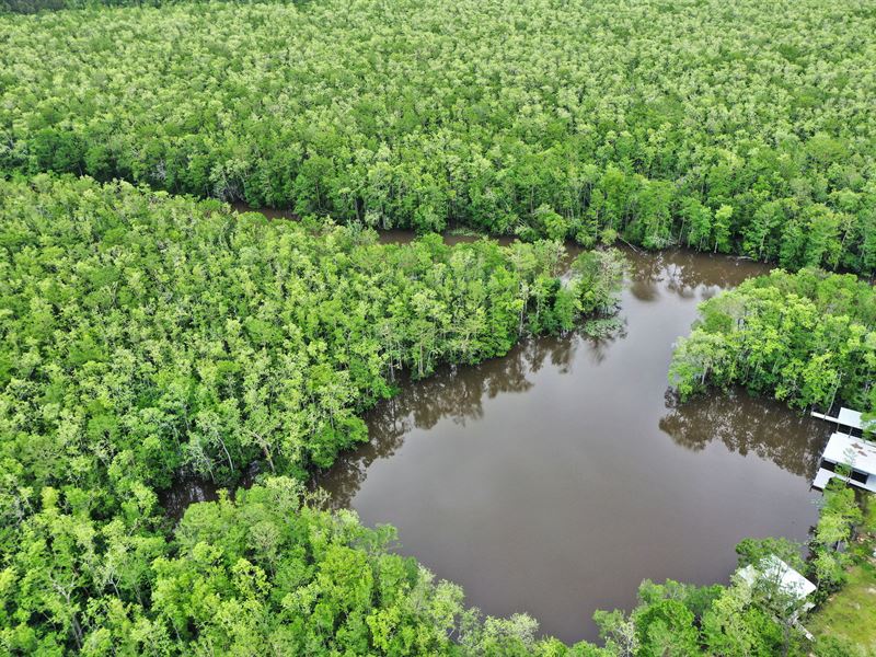 Tickfaw River Frontage & Hunting : Springfield : Livingston Parish : Louisiana