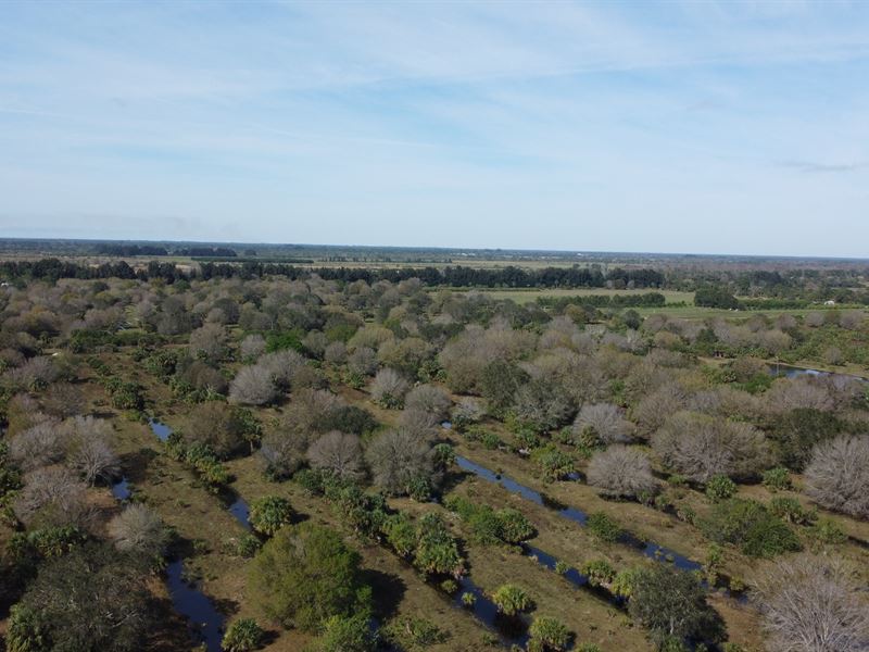 Indian River 143 Acre Ranchette Pud : Vero Beach : Indian River County : Florida