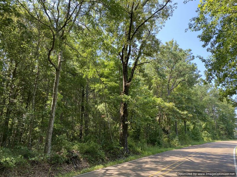 20+/- Ac Tract That Has It All : Brookhaven : Lincoln County : Mississippi