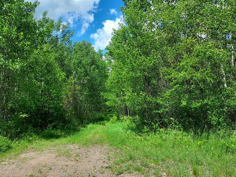 6.5 Acres by Tomahawk, Lake Nokomis : Tomahawk : Oneida County : Wisconsin