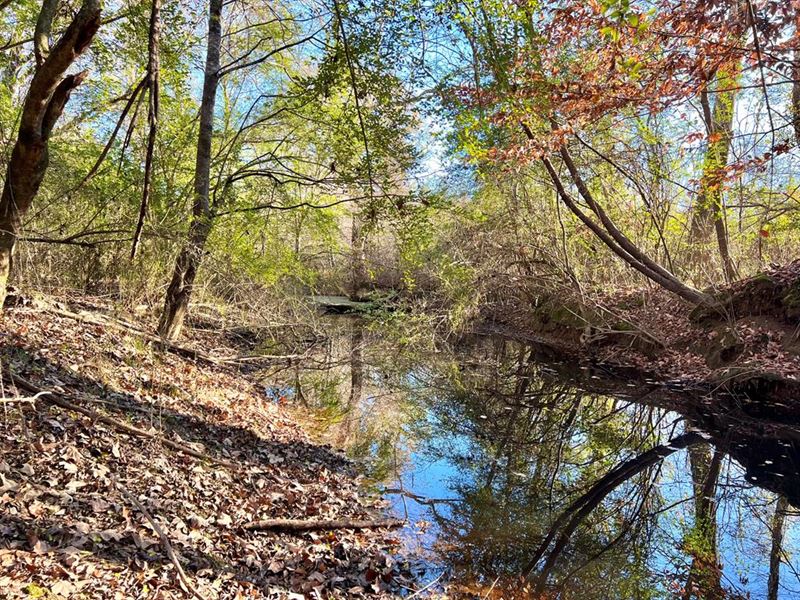 60+/- Acres, Prime Hunting : Smithdale : Lincoln County : Mississippi