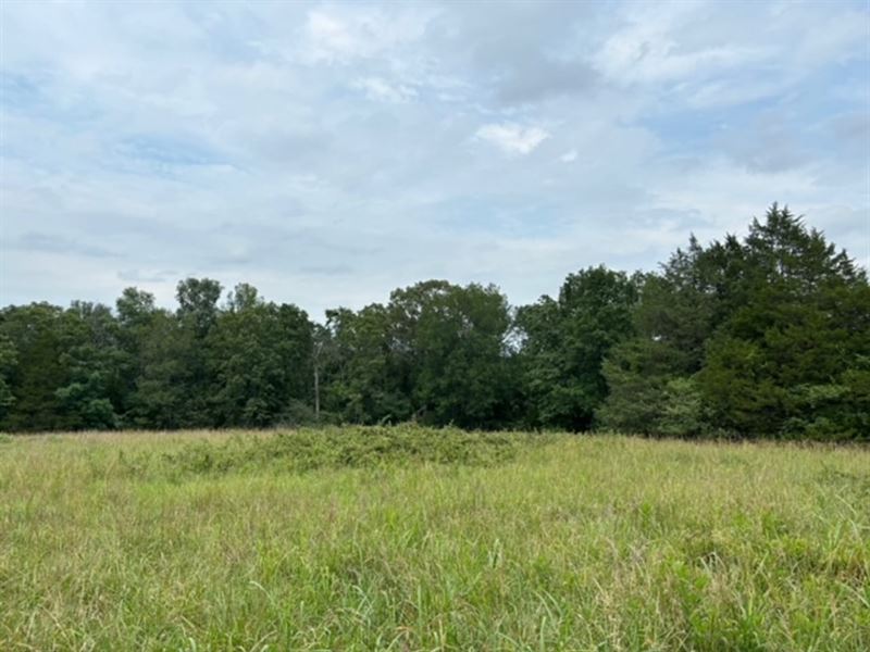 100 Ranch with Homesites : Quitman : Van Buren County : Arkansas