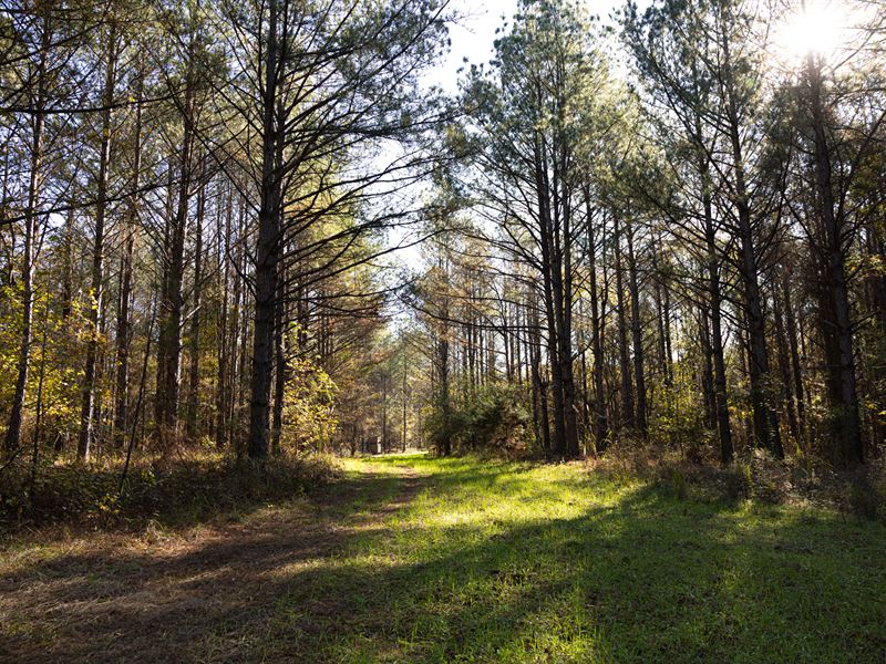 MT Zion Road 93 : Camden : Madison County : Mississippi