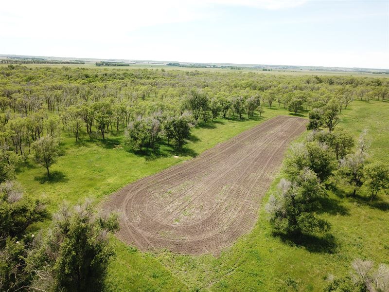 Silver Creek Sanctuary : Wessington : Beadle County : South Dakota