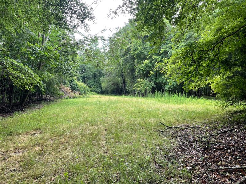 140 Ac on Luke Paschal Rd : Tallassee : Elmore County : Alabama