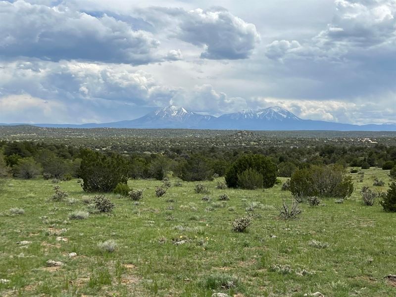 Cr 521.3, Walsenburg, Co 81089 : Walsenburg : Huerfano County : Colorado