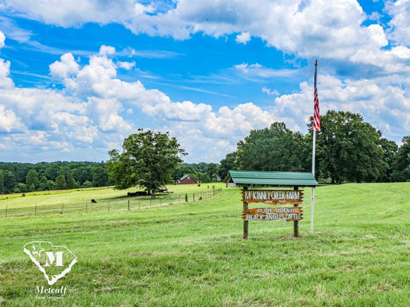 44 Acres Pastureland : Rutherfordton : Rutherford County : North Carolina