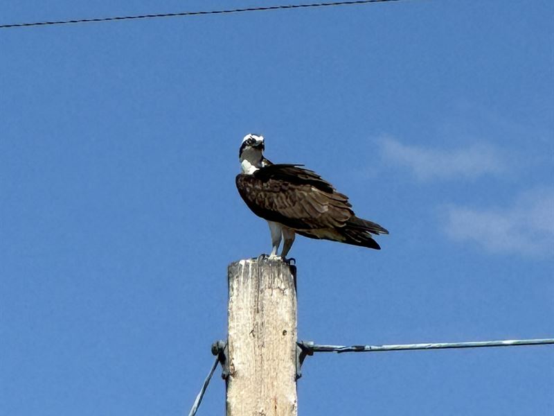 River Haven Ranch : Henefer : Summit County : Utah