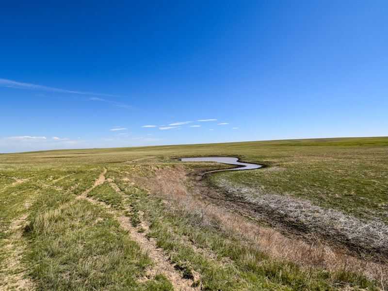 Dry Gulch Ranch : Woodrow : Washington County : Colorado