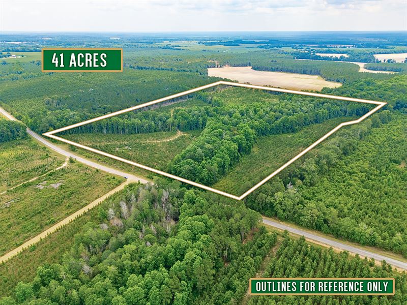 Prime 41 Acre Timberland Homesite : Lumber City : Telfair County : Georgia