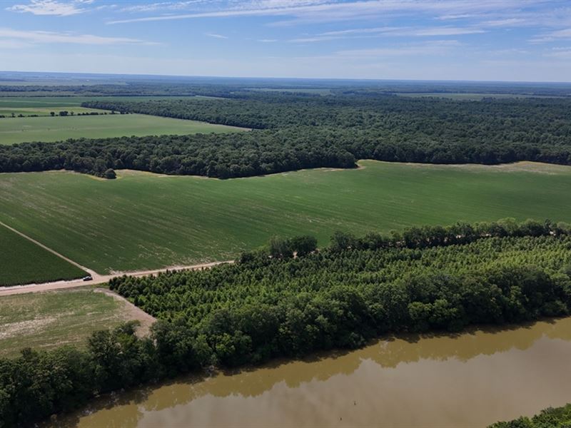 166.8 Acres in The Mississippi Delt : Belzoni : Leflore County : Mississippi