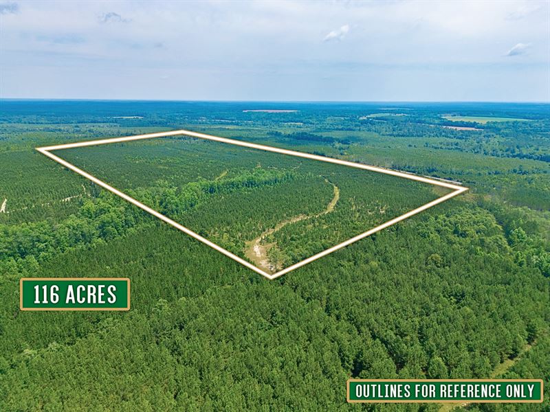 116 Acre Hunting and Timberland : Lumber City : Telfair County : Georgia